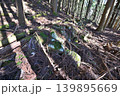 甲斐国　本栖城　武田信玄の最前線山城 139895669