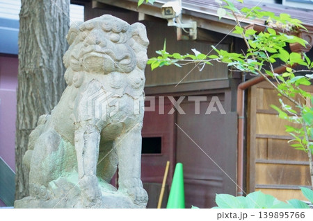 吽形こま犬 若宮八幡社 吽形こま犬 若宮八幡社 139895766