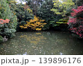 池に映る紅葉 139896176