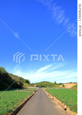 安芸津の秋～東広島市 139896256