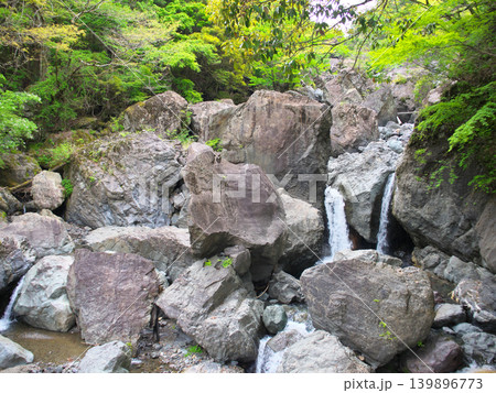 臥竜橋　西河内川　権現滝　4月の晴れの日 139896773