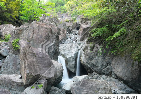 臥竜橋　西河内川　権現滝　4月の晴れの日 139896891