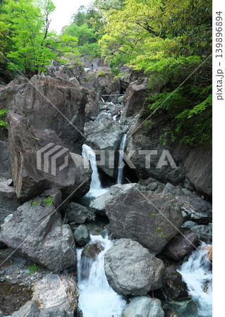 臥竜橋 西河内川 権現滝 4月の晴れの日 臥竜橋 西河内川 権現滝 4月の晴れの日 139896894