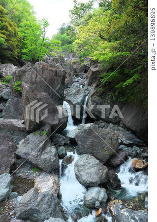 臥竜橋　西河内川　権現滝　4月の晴れの日 139896895