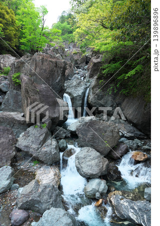 臥竜橋　西河内川　権現滝　4月の晴れの日 139896896