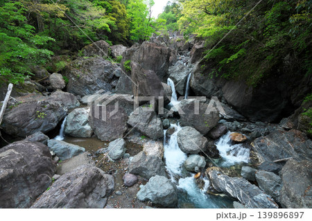 臥竜橋 西河内川 権現滝 4月の晴れの日 臥竜橋 西河内川 権現滝 4月の晴れの日 139896897