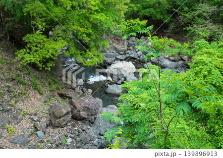 臥竜橋 西河内川 権現滝 4月の晴れの日 臥竜橋 西河内川 権現滝 4月の晴れの日 139896913