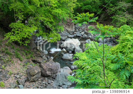 臥竜橋　西河内川　権現滝　4月の晴れの日 139896914