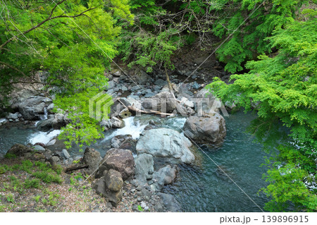 臥竜橋 西河内川 権現滝 4月の晴れの日 臥竜橋 西河内川 権現滝 4月の晴れの日 139896915