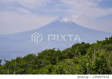静岡県 芦ノ湖スカイライン杓子峠からの富士山 静岡県 芦ノ湖スカイライン杓子峠からの富士山 139897019