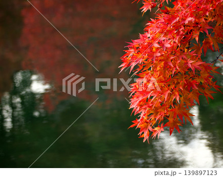 赤い紅葉と池に反射した秋の景色 赤い紅葉と池に反射した秋の景色 139897123