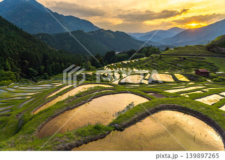 夕日に輝く丸山千枚田　三重県熊野市 139897265