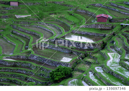 朝日が昇る丸山千枚田 三重県熊野市 朝日が昇る丸山千枚田 三重県熊野市 139897346