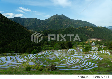 朝日が昇る丸山千枚田　三重県熊野市 139897351