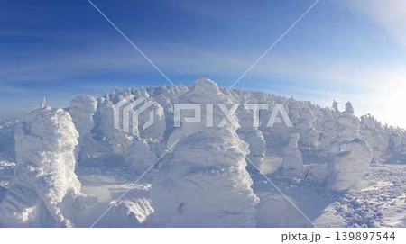 樹氷　霧氷　蔵王　地蔵山頂 139897544