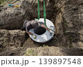 A worker lowers a concrete round structure into a hole at a construction site during daytime. Tools and dirt are present around the worker 139897548