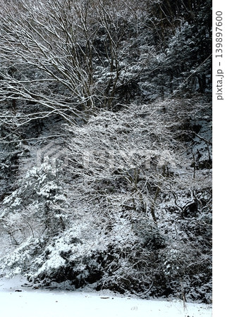 雪の降る森 139897600