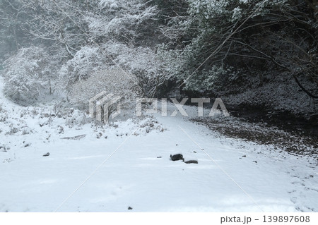 雪の降る森 雪の降る森 139897608