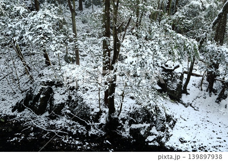雪が積もった川 139897938