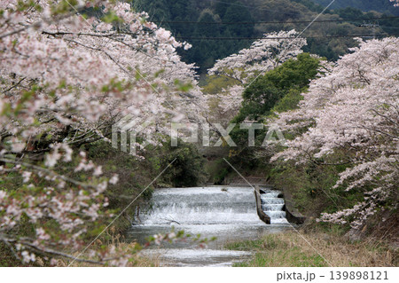 桜のある風景 桜のある風景 139898121