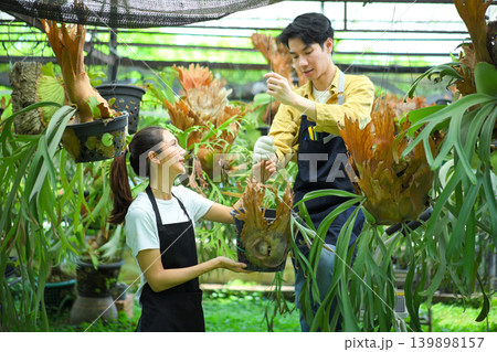 Two gardeners installing staghorn fern, showing teamwork, skill, and plant care process Two gardeners installing staghorn fern, showing teamwork, skill, and plant care process 139898157