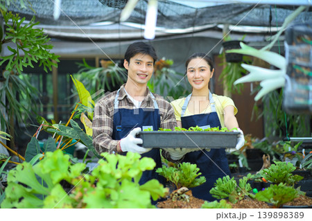 Couple holding tray of young staghorn fern in nursery 139898389