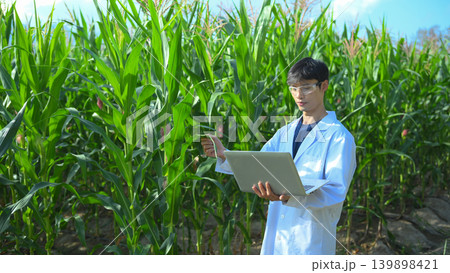A Scientist in a corn field using a laptop computer to review harvest and crop performance, agriculture technology concept A Scientist in a corn field using a laptop computer to review harvest and crop performance, agriculture technology concept 139898421