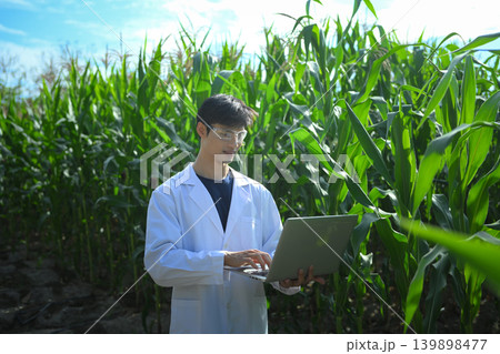 A Scientist in a corn field using a laptop computer to review harvest and crop performance, agriculture technology concept A Scientist in a corn field using a laptop computer to review harvest and crop performance, agriculture technology concept 139898477