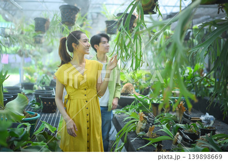 Couple choosing staghorn fern plants in farm nursery Couple choosing staghorn fern plants in farm nursery 139898669