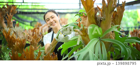 Female gardener pruning staghorn fern in nursery Female gardener pruning staghorn fern in nursery 139898795