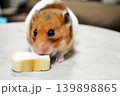 おやつをほおばるハムスター 139898865