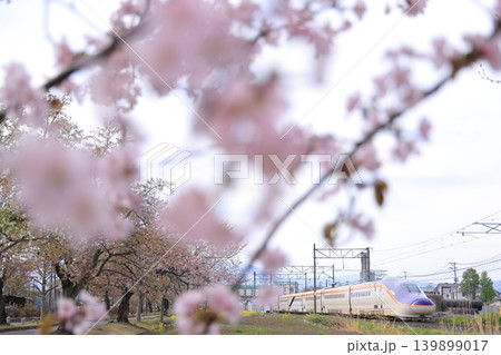 桜の中を走る山形新幹線 桜の中を走る山形新幹線 139899017