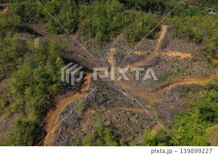 里山の山林伐採・切り開き現場を俯瞰した空撮写真 里山の山林伐採・切り開き現場を俯瞰した空撮写真 139899227