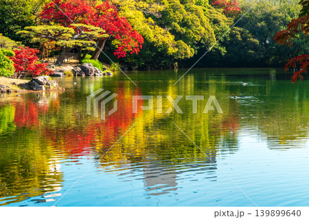【特別名勝】栗林公園 晩秋の風景 群鴨池と紅葉4 香川県高松市 【特別名勝】栗林公園 晩秋の風景 群鴨池と紅葉4 香川県高松市 139899640