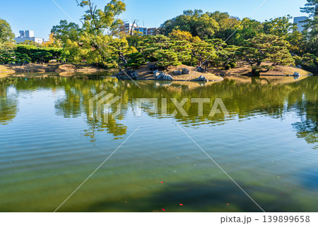 【特別名勝】栗林公園　晩秋の風景　北湖と庭園1　香川県高松市 139899658