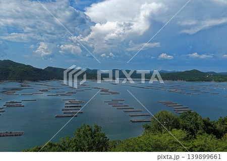 岡山県瀬戸内市邑久町虫明の牡蠣筏を俯瞰した空撮写真 岡山県瀬戸内市邑久町虫明の牡蠣筏を俯瞰した空撮写真 139899661