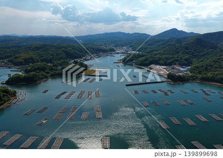岡山県瀬戸内市邑久町虫明湾の牡蠣筏を俯瞰した空撮写真 139899698