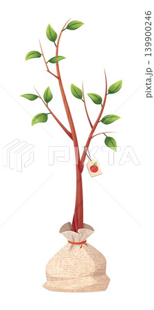 Young Apple Tree Sapling with Roots in Burlap Sack. Fruit Tree Seedling for Spring Planting, Orchard Cultivation, and Organic Gardening. Nursery Stock with Tag Illustration. 139900246