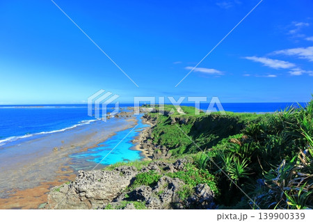【沖縄県】快晴の東平安名崎(宮古島) 【沖縄県】快晴の東平安名崎(宮古島) 139900339