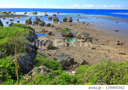 【沖縄県】快晴の東平安名崎の海岸(宮古島) 【沖縄県】快晴の東平安名崎の海岸(宮古島) 139900362