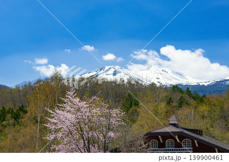 春の高原に咲く桜と北アルプス・乗鞍岳の絶景 春の高原に咲く桜と北アルプス・乗鞍岳の絶景 139900461