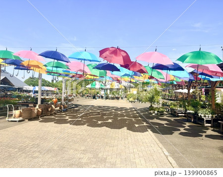 Sunny Color Days〜今日の空は優しく笑っていた〜 Sunny Color Days〜今日の空は優しく笑っていた〜 139900865