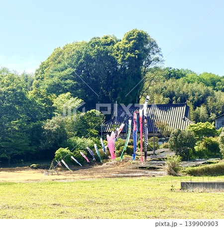 ヒラヒラ ユラユラ もう5月だよん ヒラヒラ ユラユラ もう5月だよん 139900903