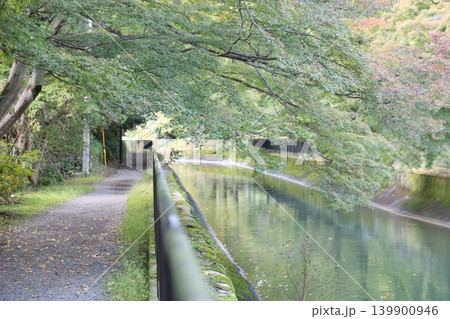 紅葉と川のある風景 紅葉と川のある風景 139900946