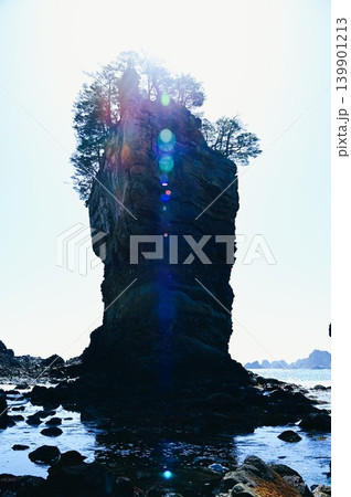 三陸復興国立公園 山王岩とその付近の風景 三陸復興国立公園 山王岩とその付近の風景 139901213