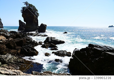 三陸復興国立公園 山王岩とその付近の風景 139901216