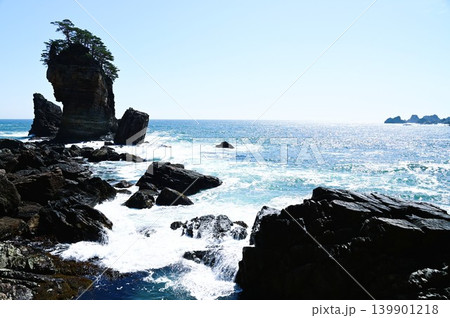 三陸復興国立公園 山王岩とその付近の風景 三陸復興国立公園 山王岩とその付近の風景 139901218