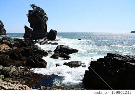 三陸復興国立公園 山王岩とその付近の風景 三陸復興国立公園 山王岩とその付近の風景 139901233