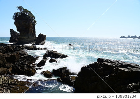 三陸復興国立公園 山王岩とその付近の風景 139901234