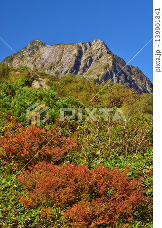 秋の紅葉に染まる白馬八方尾根 秋の紅葉に染まる白馬八方尾根 139901841